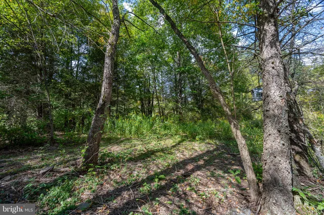 $159,000 | 6932 New Germany Road, Grantsville, MD 21536