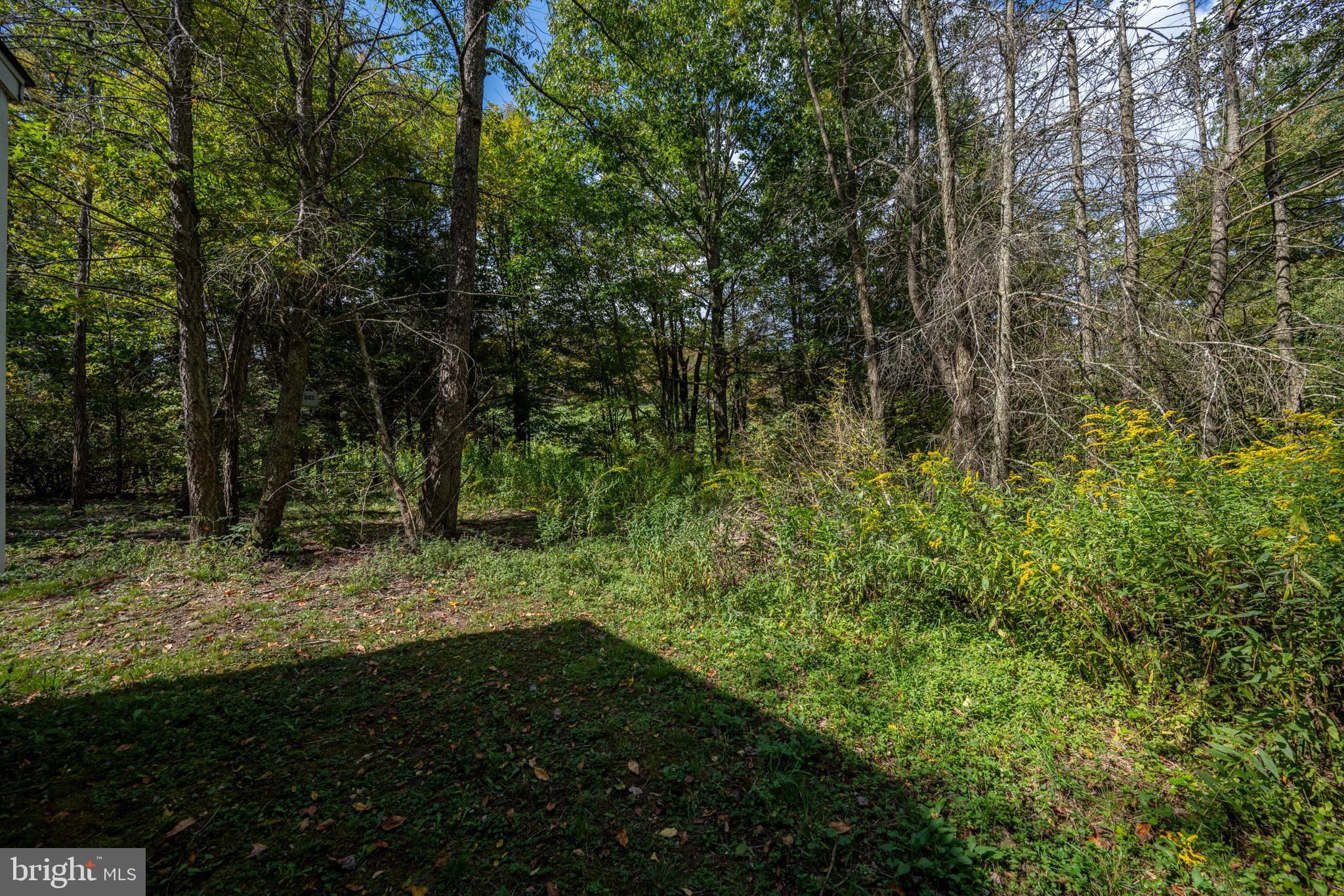 6932 New Germany Road Grantsville, MD 21536 - Photo 7 of 31 Serene woodland retreat awaits your exploration.