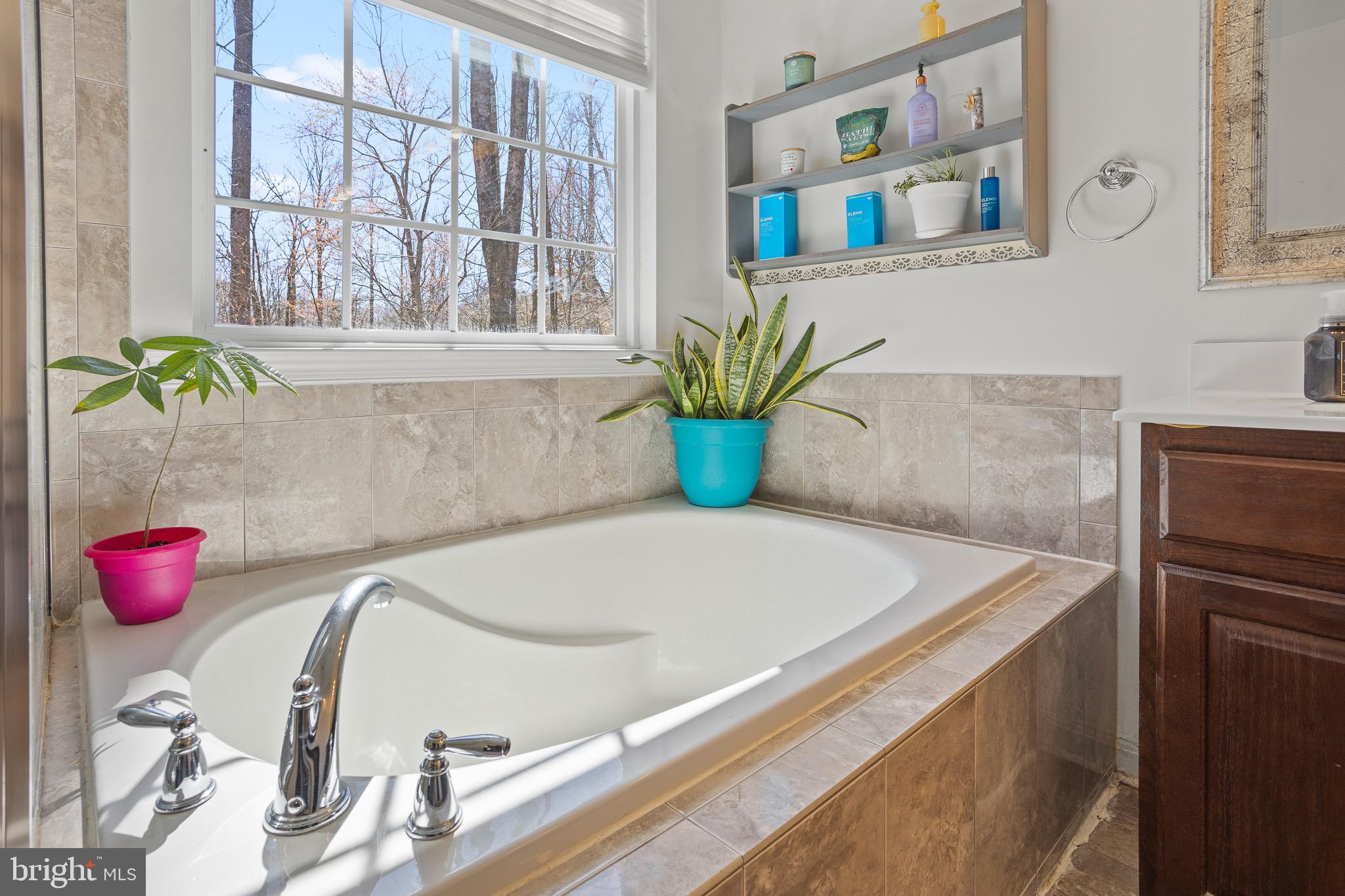 4335 Pleasant Court Huntingtown, MD 20639 - Photo 20 of 46 a bathroom with a tub and a potted plant