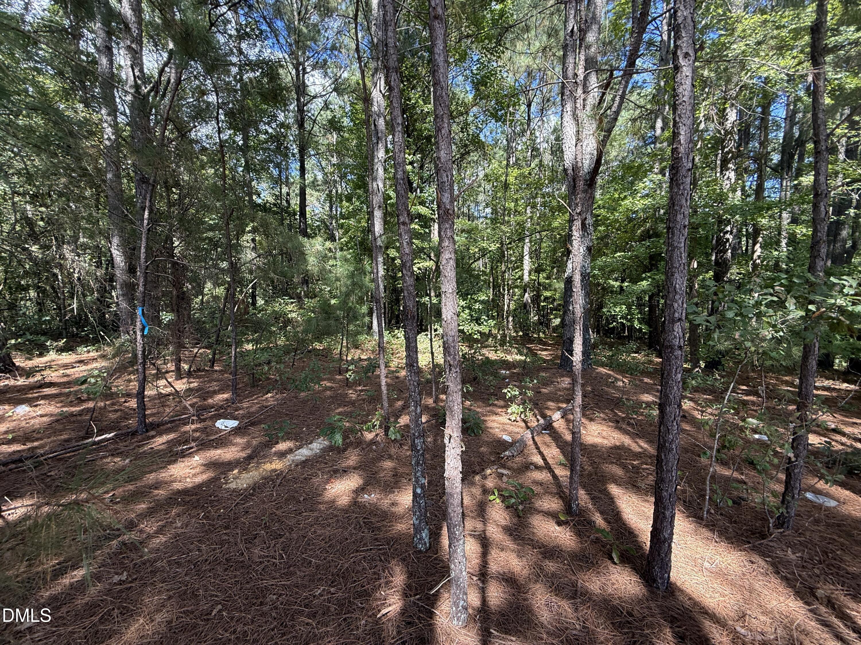 0 Massengill Pond Road Angier, NC 27501 - Photo 6 of 9 a view of outdoor space and trees