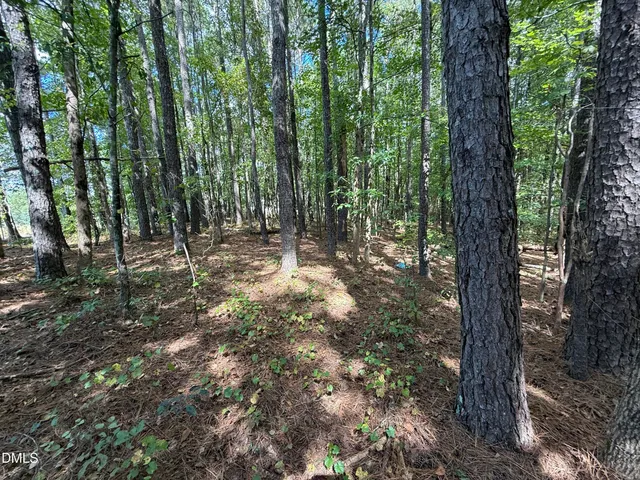 $585,000 | 0 Massengill Pond Road, Angier, NC 27501