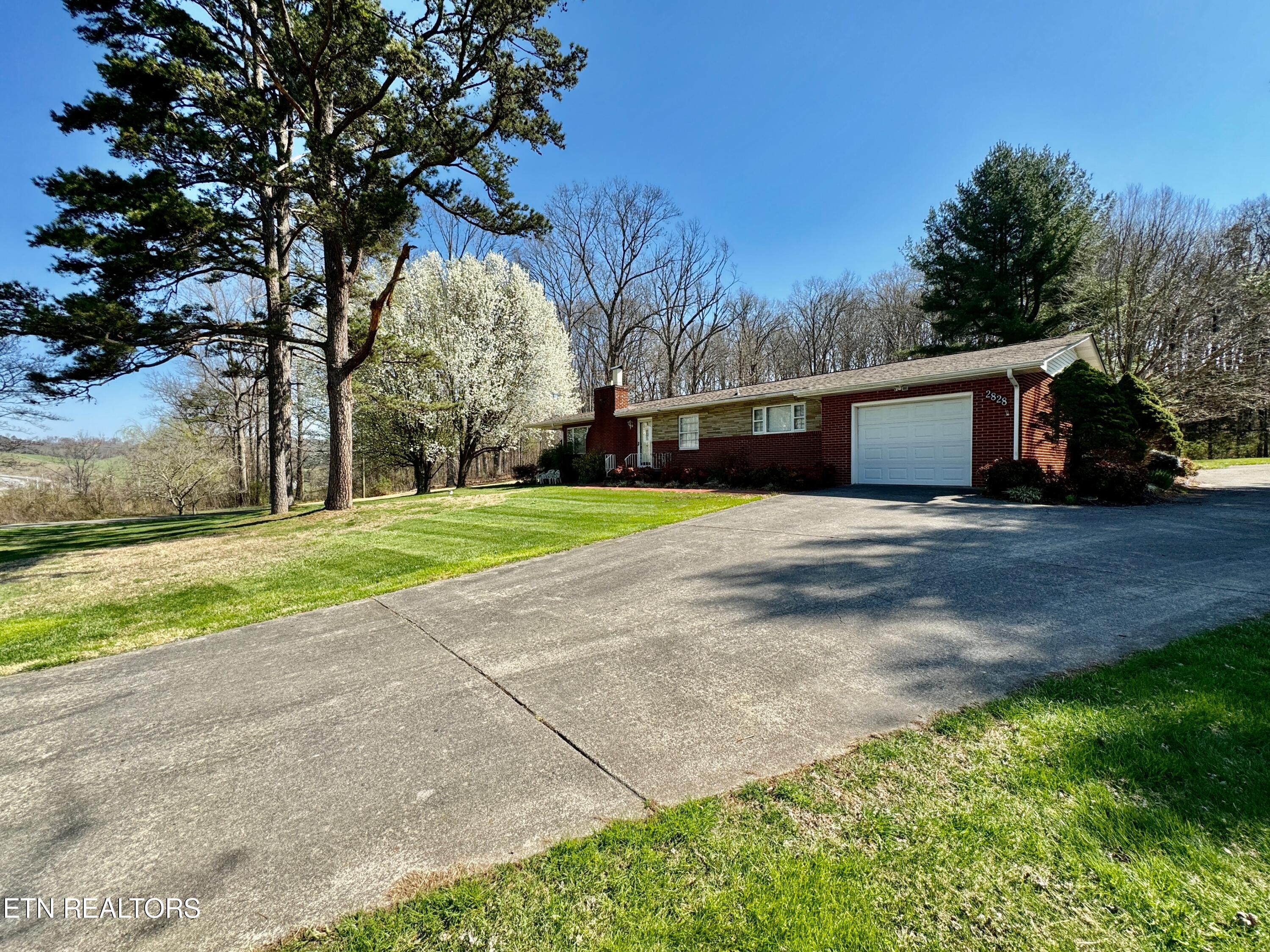 2828 Valley Home Road White Pine, TN 37890 - Photo 6 of 60 7