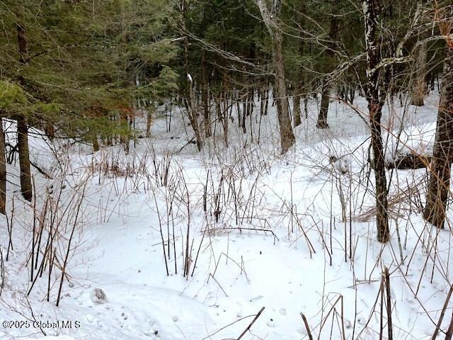 L78 Armlin Road Middleburgh, NY 12122 - Photo 13 of 18 IMG_3953