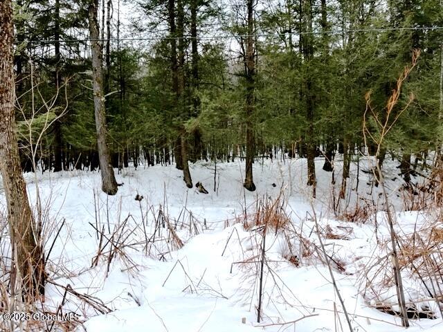 L78 Armlin Road Middleburgh, NY 12122 - Photo 16 of 18 IMG_3956
