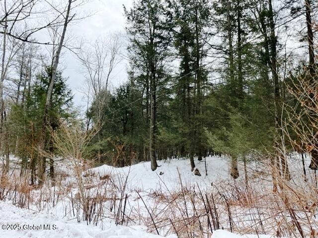 L78 Armlin Road Middleburgh, NY 12122 - Photo 17 of 18 IMG_3957