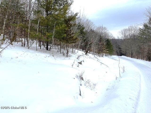 L78 Armlin Road Middleburgh, NY 12122 - Photo 3 of 18 IMG_3943