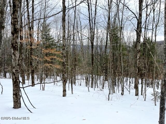 L78 Armlin Road Middleburgh, NY 12122 - Photo 5 of 18 IMG_3945