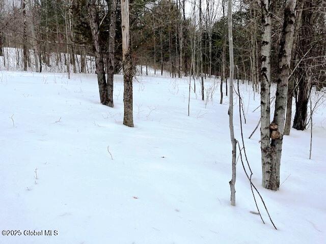 L78 Armlin Road Middleburgh, NY 12122 - Photo 7 of 18 IMG_3947