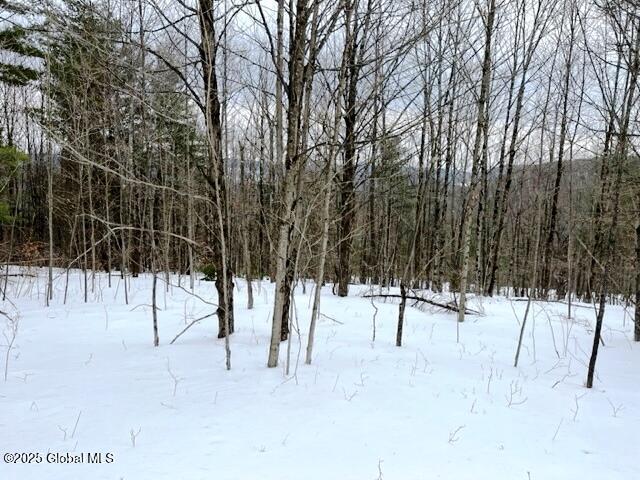 L78 Armlin Road Middleburgh, NY 12122 - Photo 8 of 18 IMG_3948