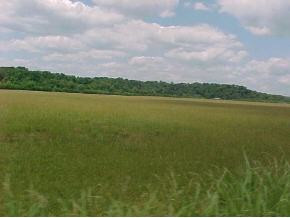 0 Forrest View Lane, Unit 6 Mohawk, TN 37810 - Photo 5 of 9 Photo 5