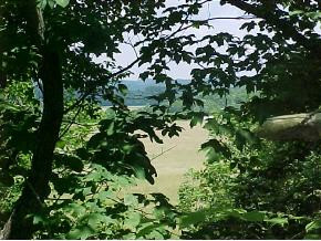0 Forrest View Lane, Unit 6 Mohawk, TN 37810 - Photo 7 of 9 Photo 7