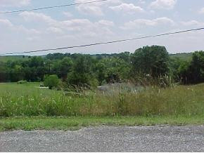 0 Forrest View Lane, Unit 6 Mohawk, TN 37810 - Photo 9 of 9 Photo 9