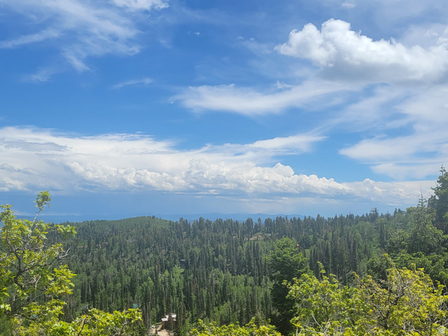1920 Elk Road, Unit 78 Coalville, UT 84017 - Photo 9 of 16 Expansive mountain landscape featuring a dense forest of evergreen trees and a clear blue sky with white clouds