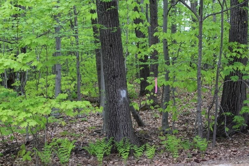 0 Beaver Pond Road Auburn, ME 04210 - Photo 2 of 8 Photo