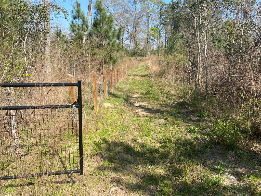 1229 Pierce Road Waverly Hall, GA 31831 - Photo 29 of 32