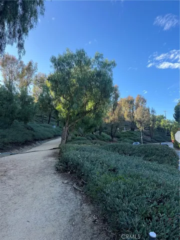 a view of a yard with a tree