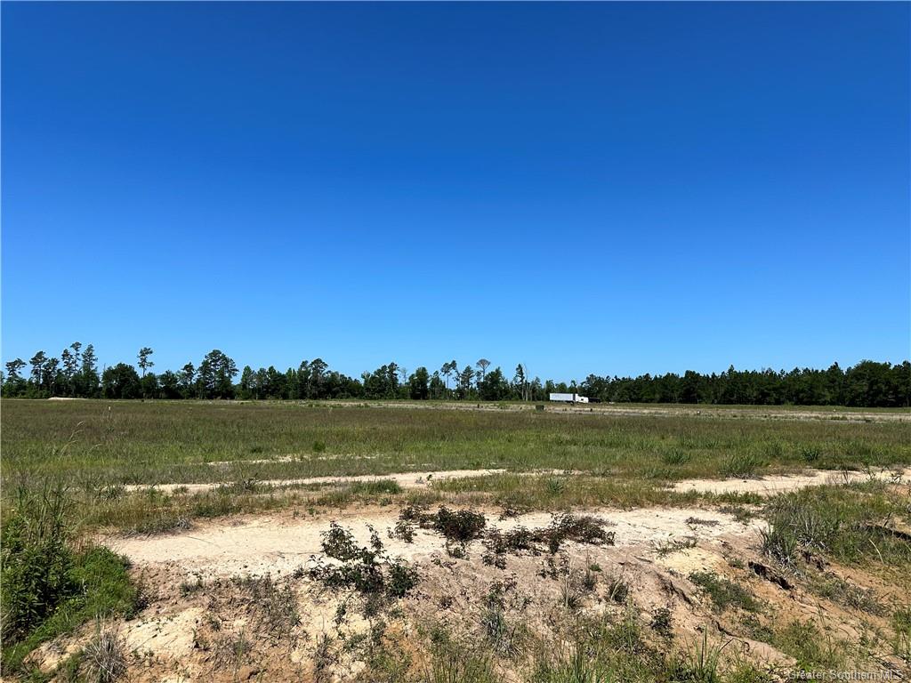 0 Daffodil Drive Ragley, LA 70657 - Photo 11 of 36