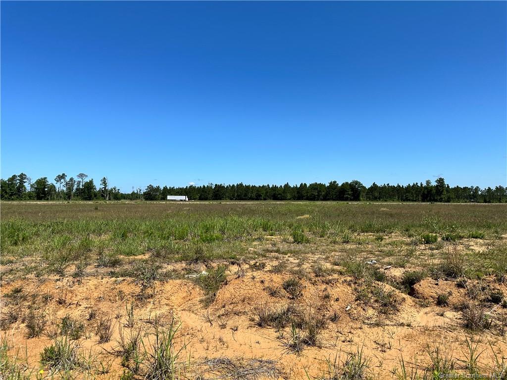 0 Daffodil Drive Ragley, LA 70657 - Photo 2 of 36