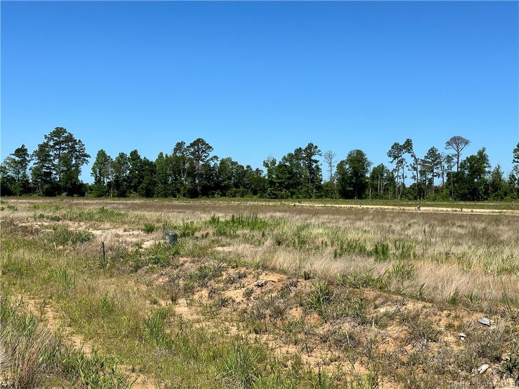 0 Daffodil Drive Ragley, LA 70657 - Photo 24 of 36