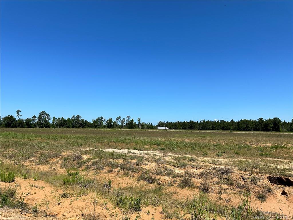 0 Daffodil Drive Ragley, LA 70657 - Photo 8 of 36