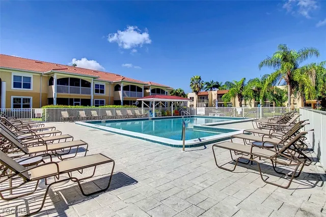 a view of a palm trees