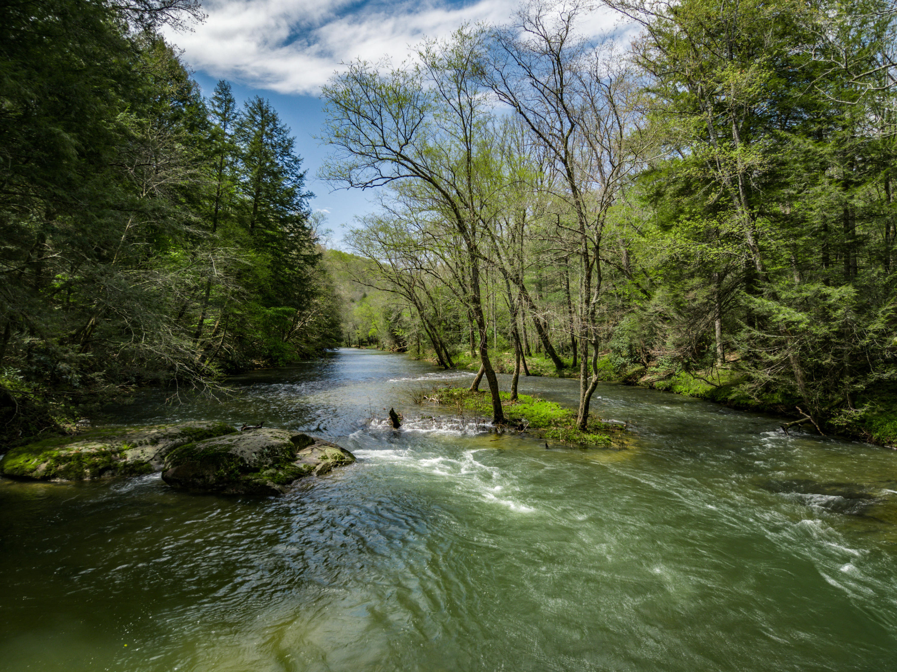 Al Goss Road Crossville, TN 38571 - Photo 1 of 28 63_MAX_01022_HDR2_mls