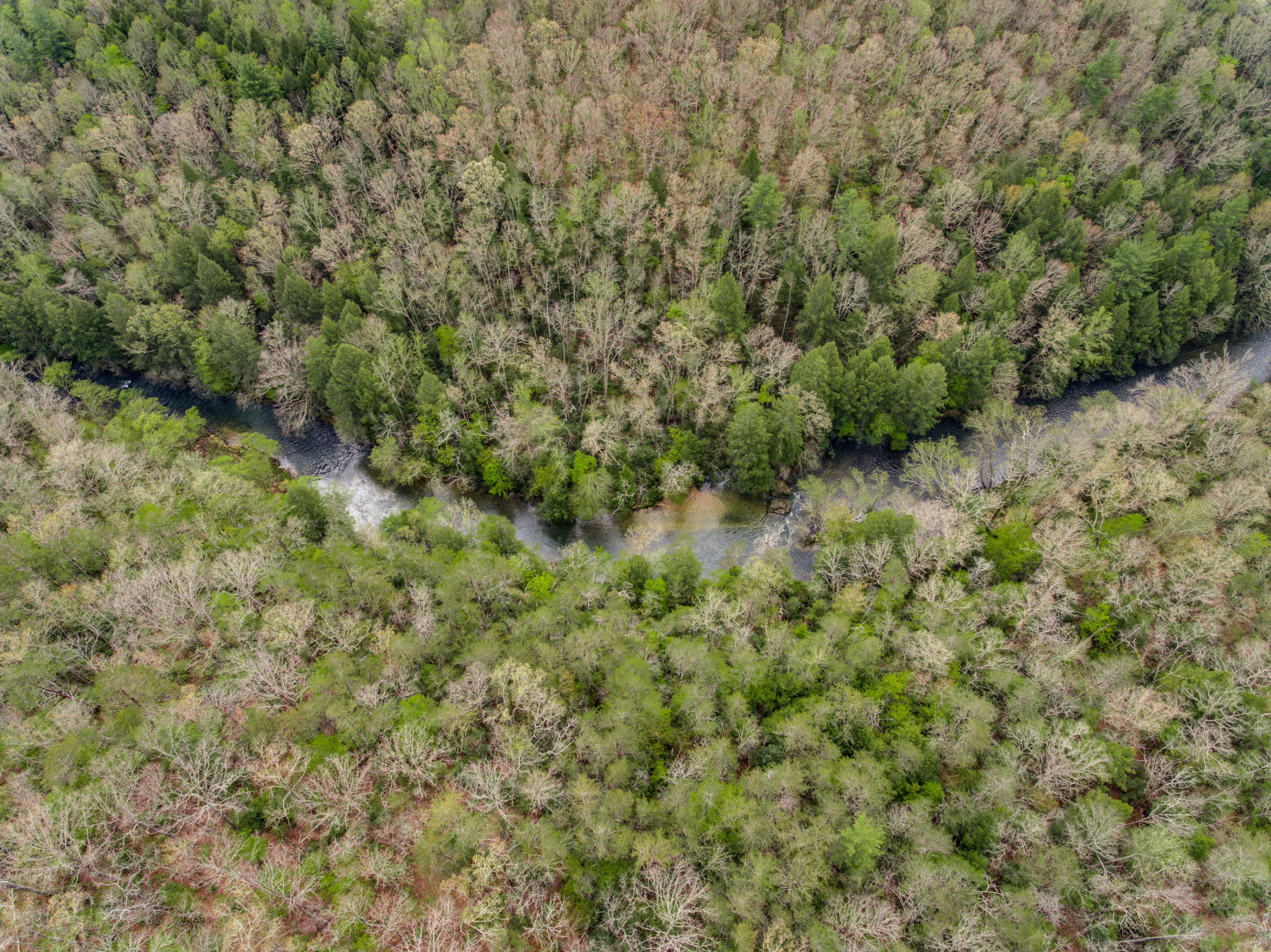 Al Goss Road Crossville, TN 38571 - Photo 11 of 28 01_Aerials001_mls