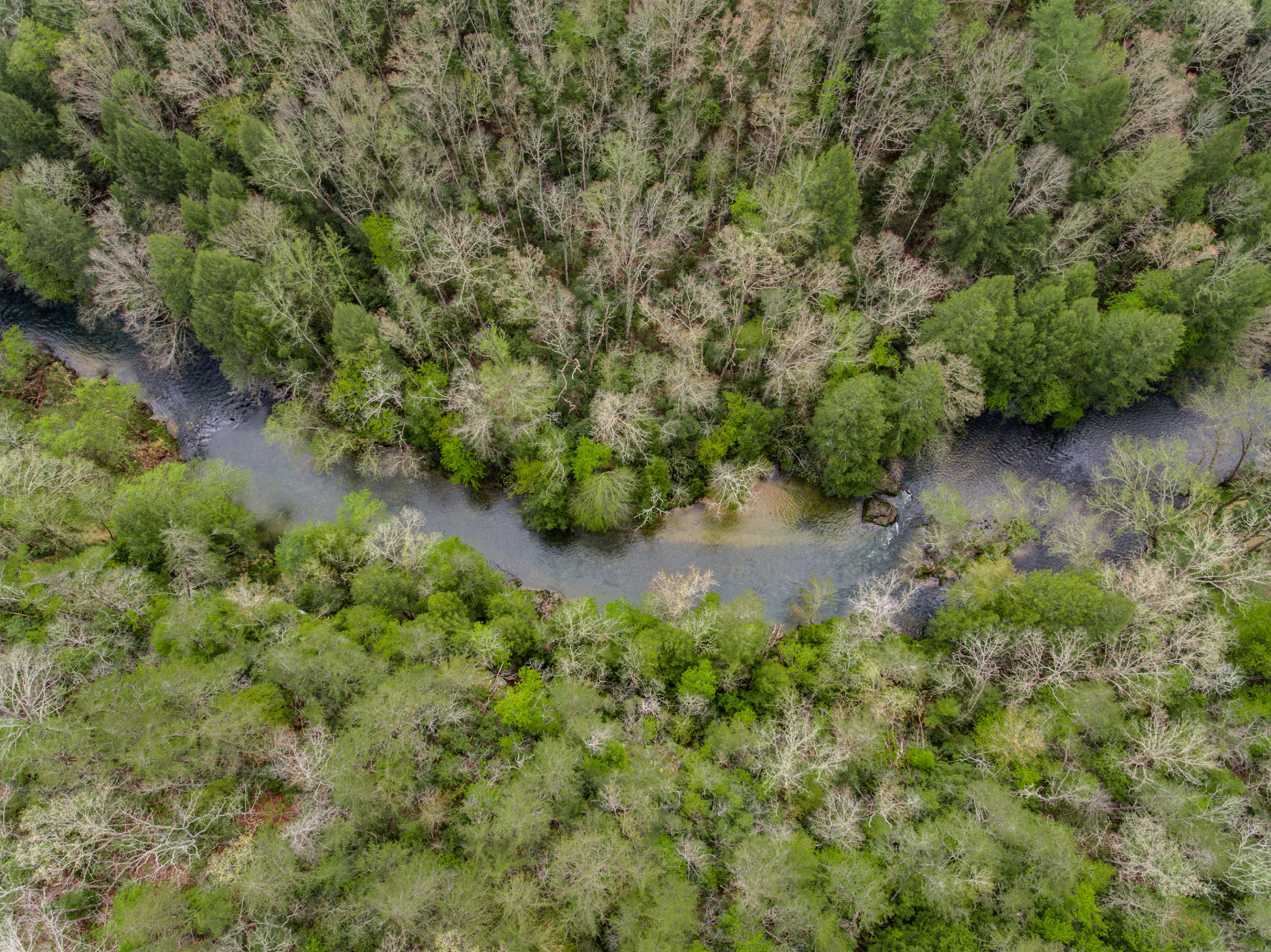 Al Goss Road Crossville, TN 38571 - Photo 12 of 28 02_Aerials002_mls