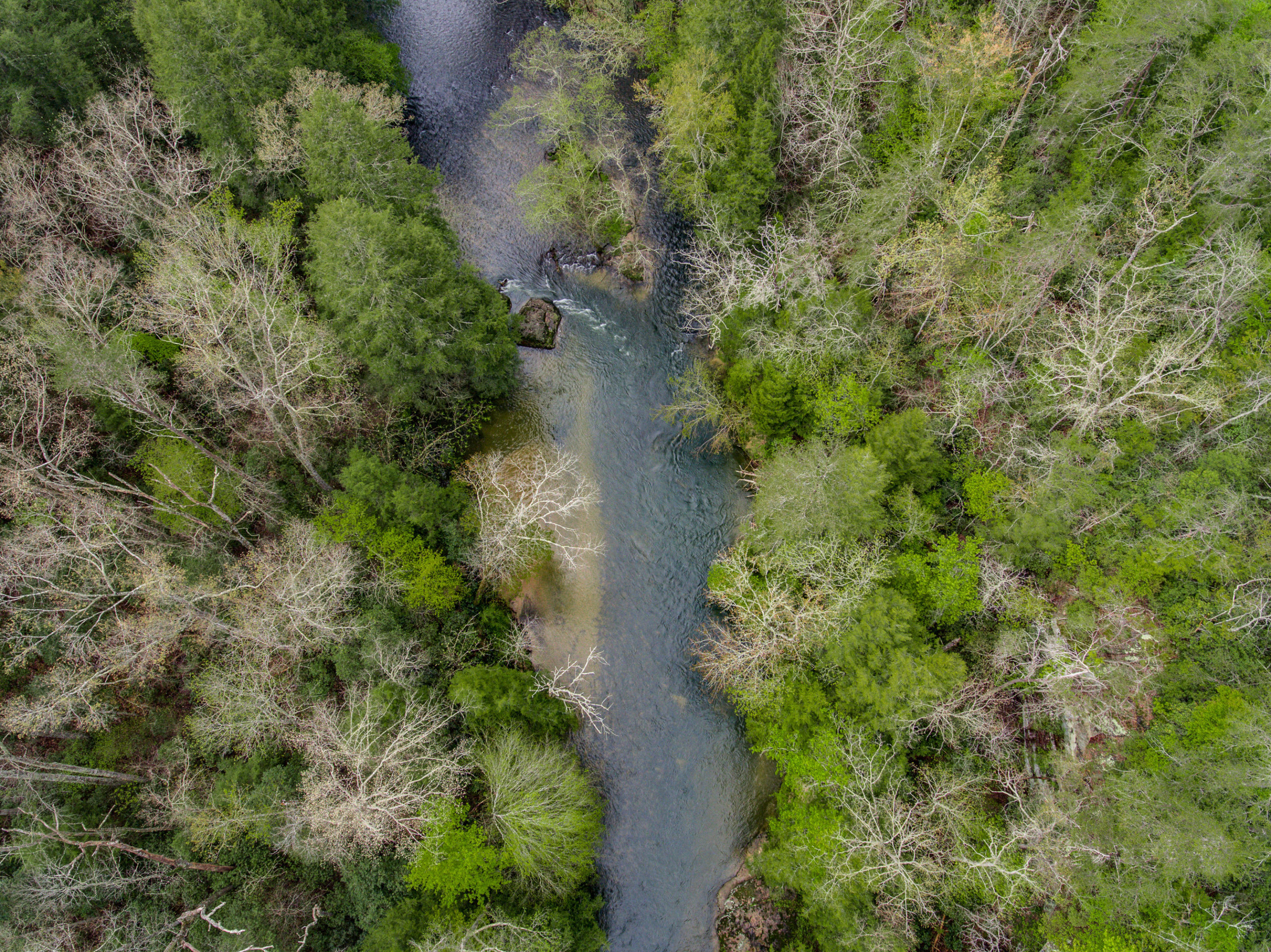 Al Goss Road Crossville, TN 38571 - Photo 13 of 28 03_Aerials003_mls