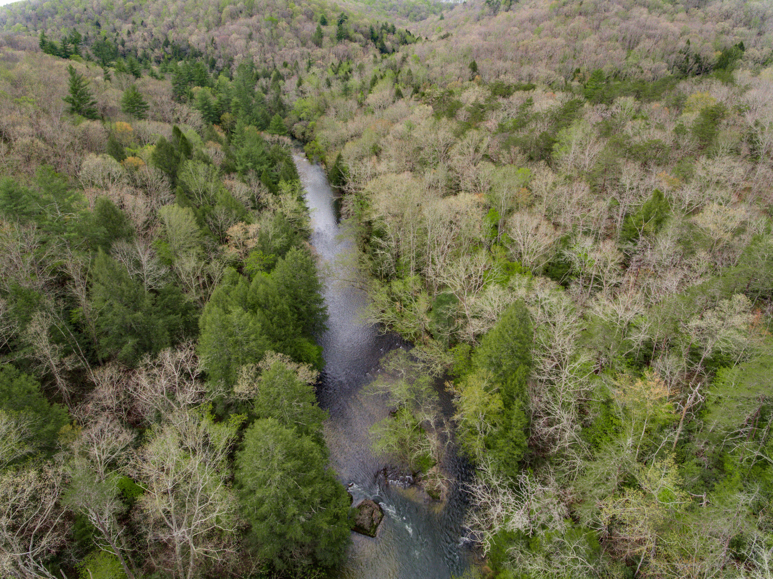 Al Goss Road Crossville, TN 38571 - Photo 14 of 28 04_Aerials004_mls