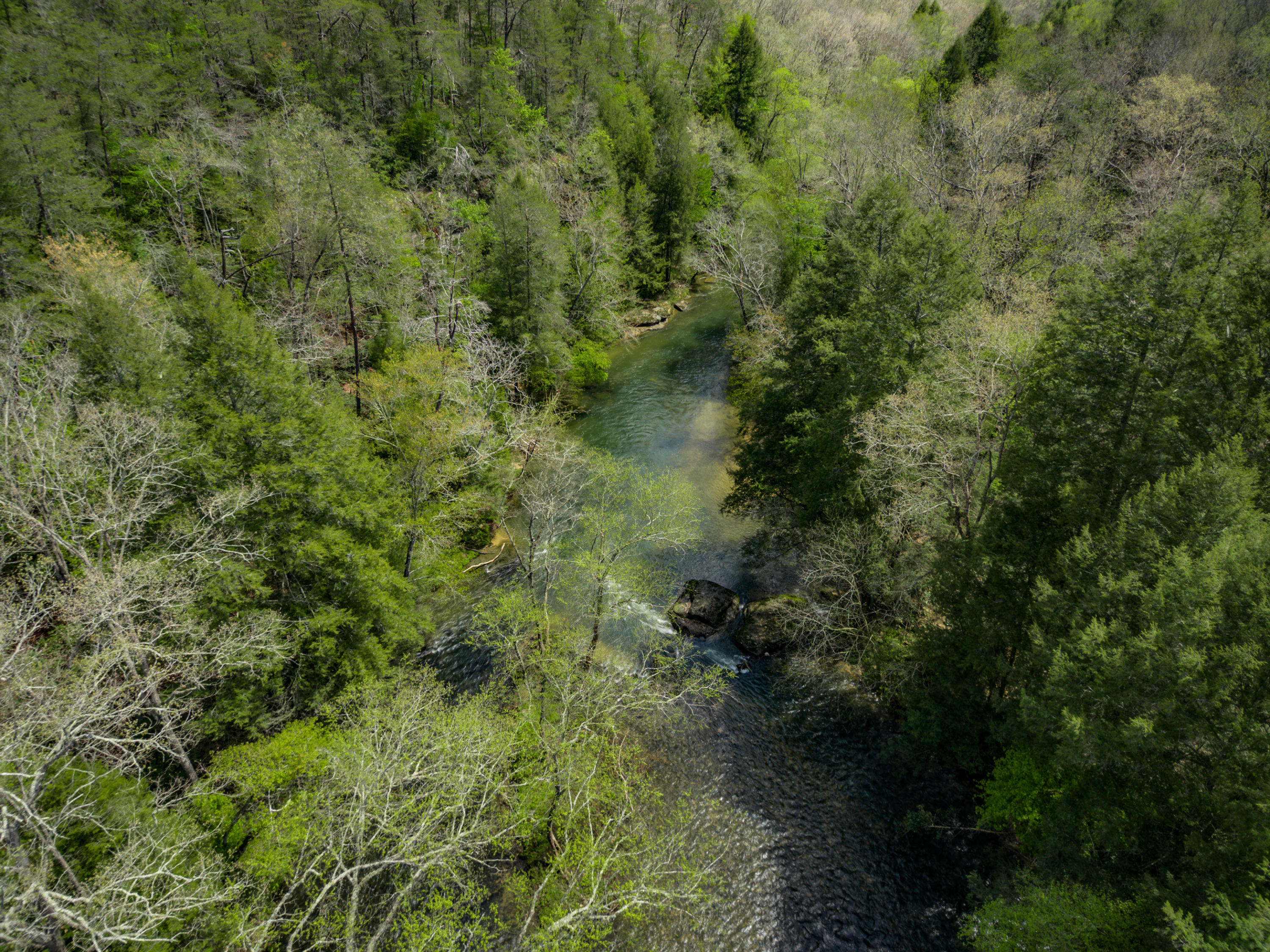 Al Goss Road Crossville, TN 38571 - Photo 16 of 28 13_Aerials013_mls