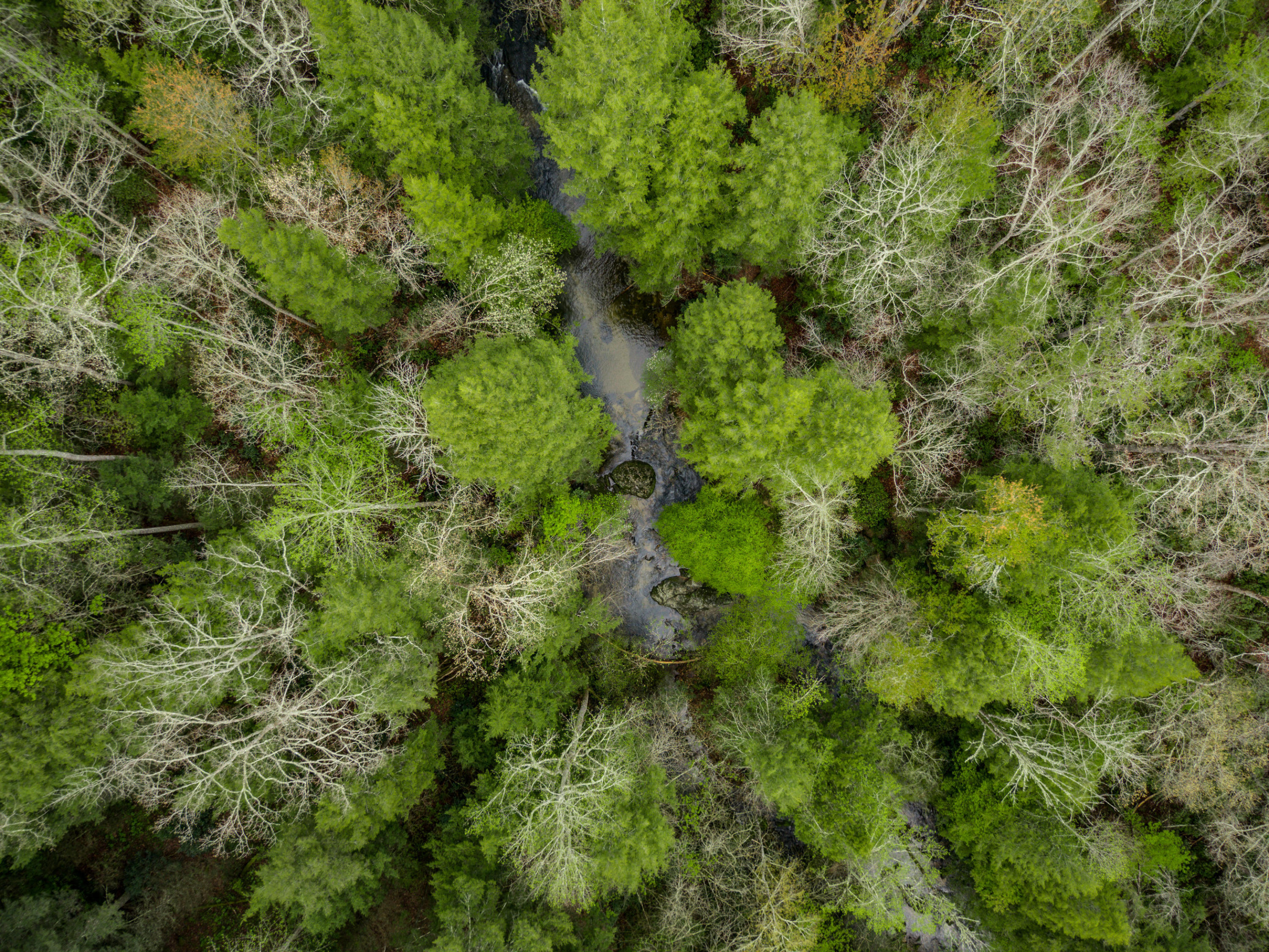 Al Goss Road Crossville, TN 38571 - Photo 17 of 28 11_Aerials011_mls