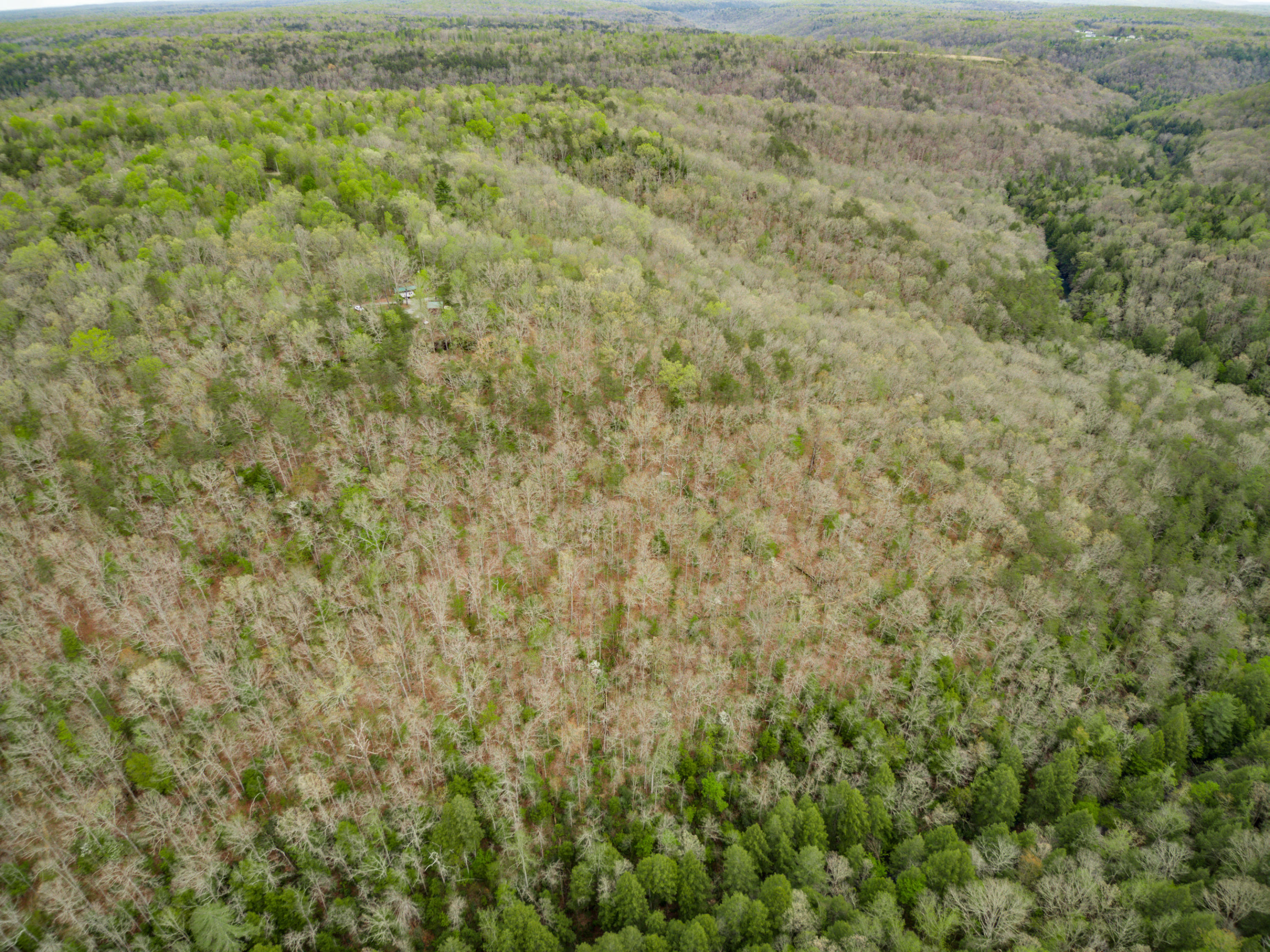 Al Goss Road Crossville, TN 38571 - Photo 19 of 28 06_Aerials006_mls