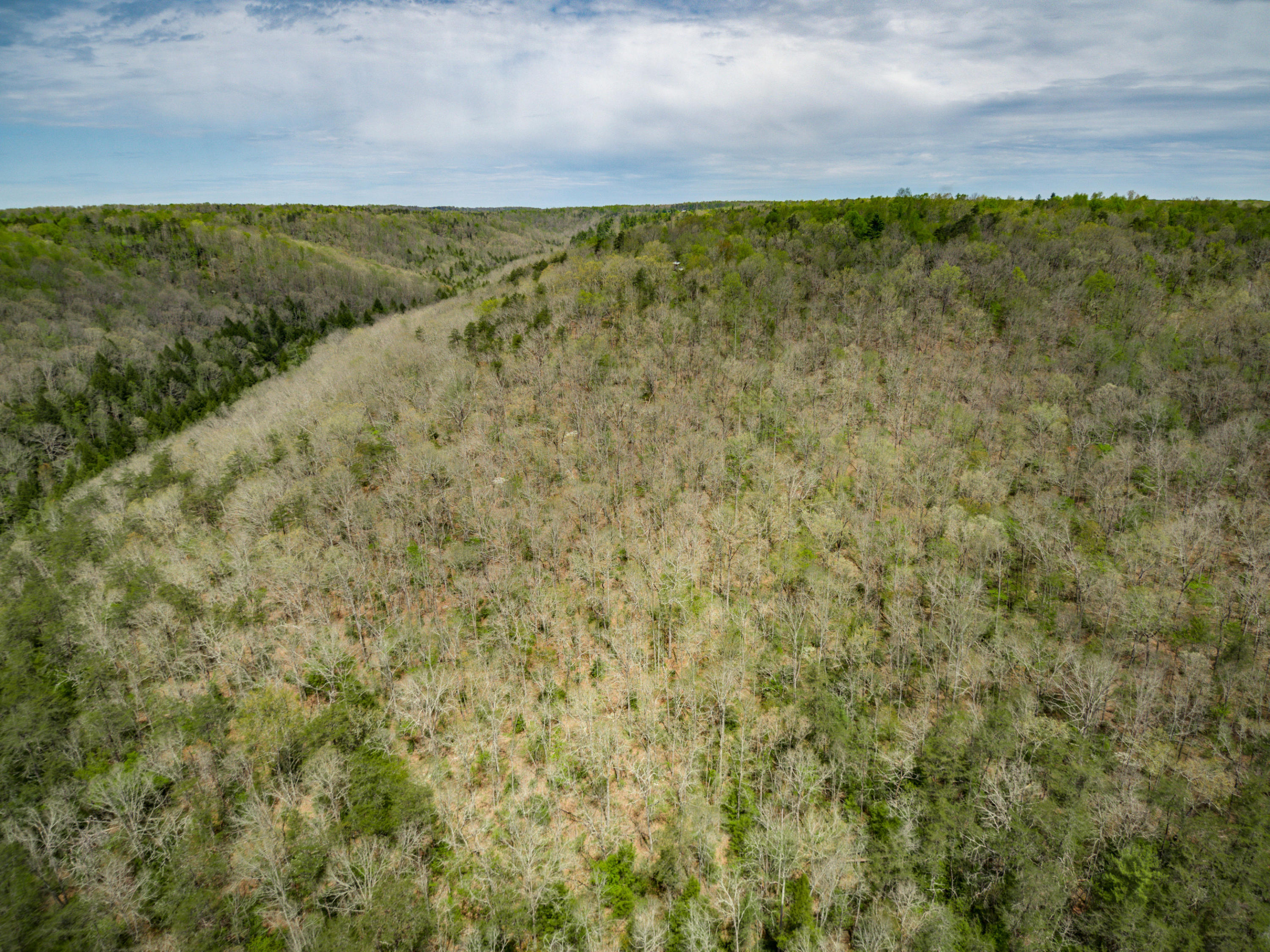 Al Goss Road Crossville, TN 38571 - Photo 20 of 28 16_Aerials016_mls