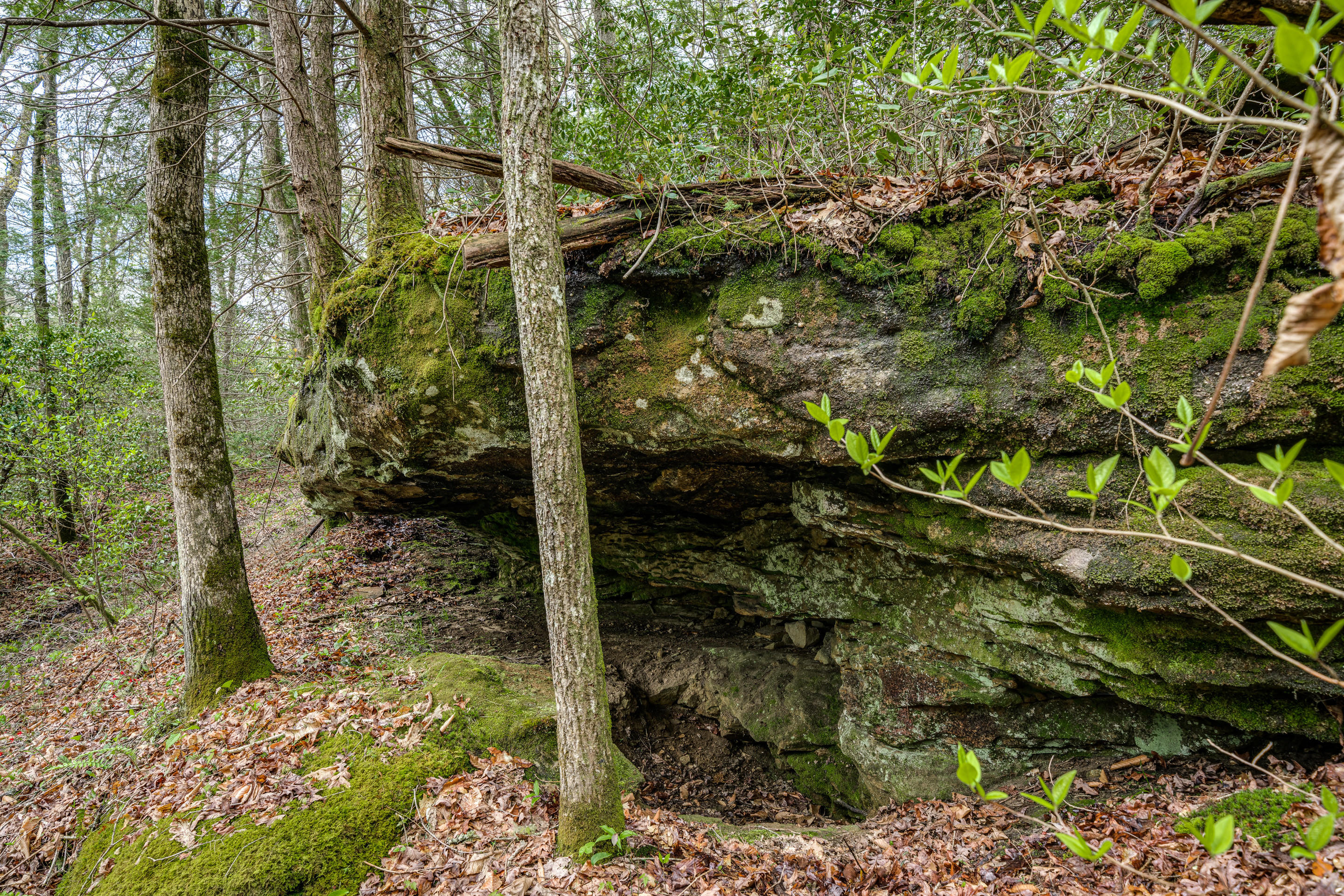 Al Goss Road Crossville, TN 38571 - Photo 26 of 28 46_Land005_mls