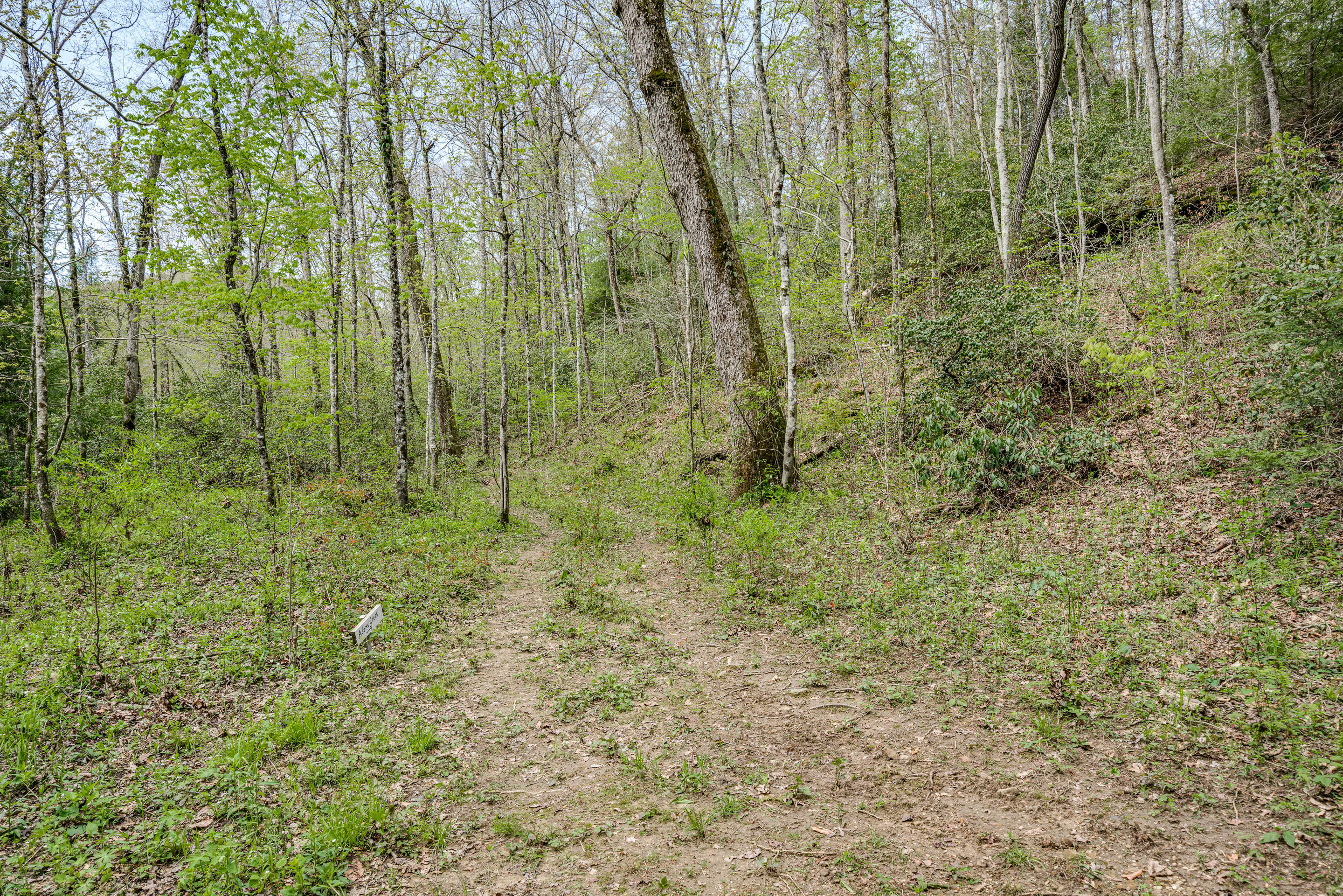 Al Goss Road Crossville, TN 38571 - Photo 28 of 28 51_Land010_mls