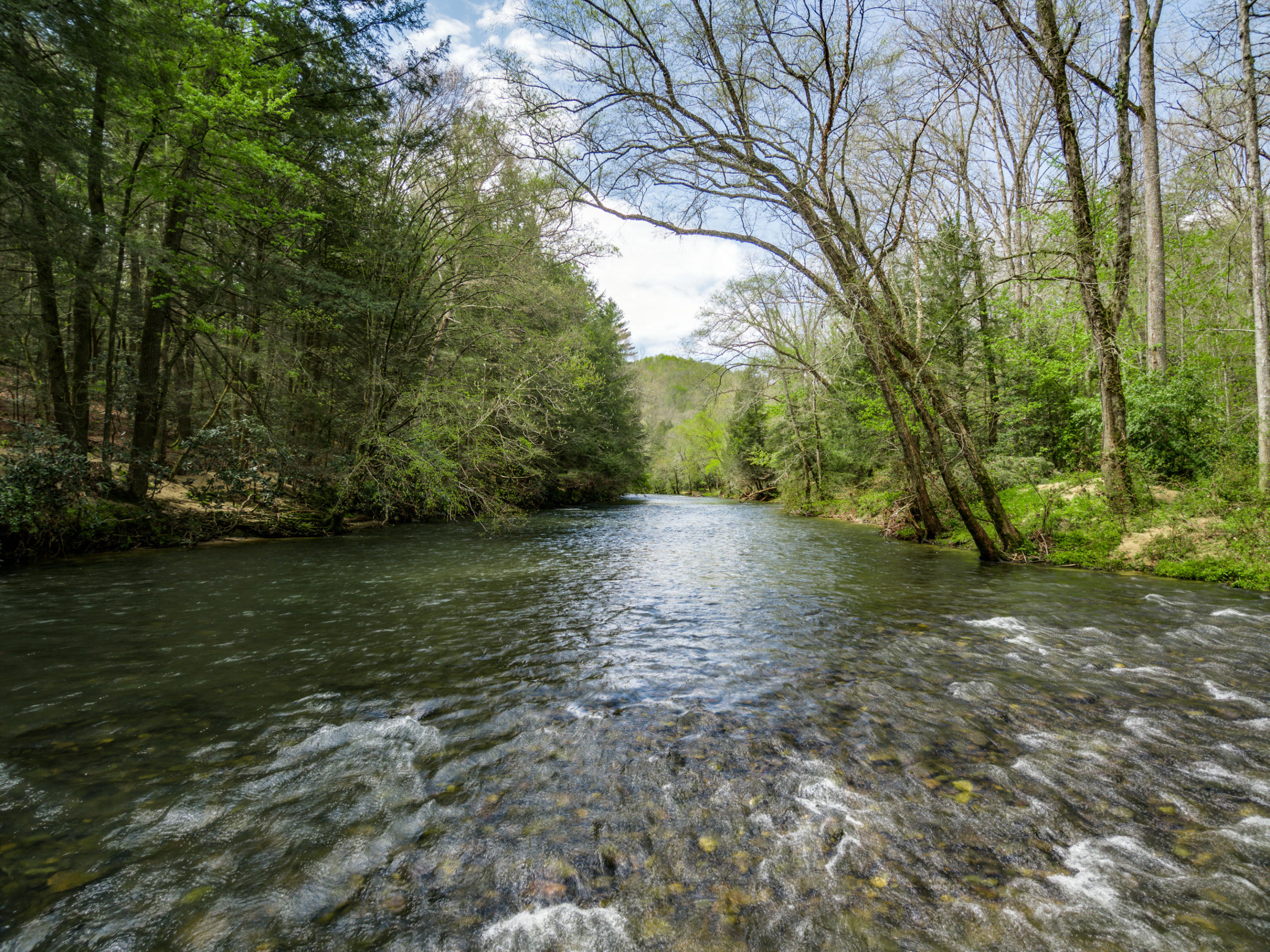 Al Goss Road Crossville, TN 38571 - Photo 5 of 28 60_MAX_0097_HDR2_mls