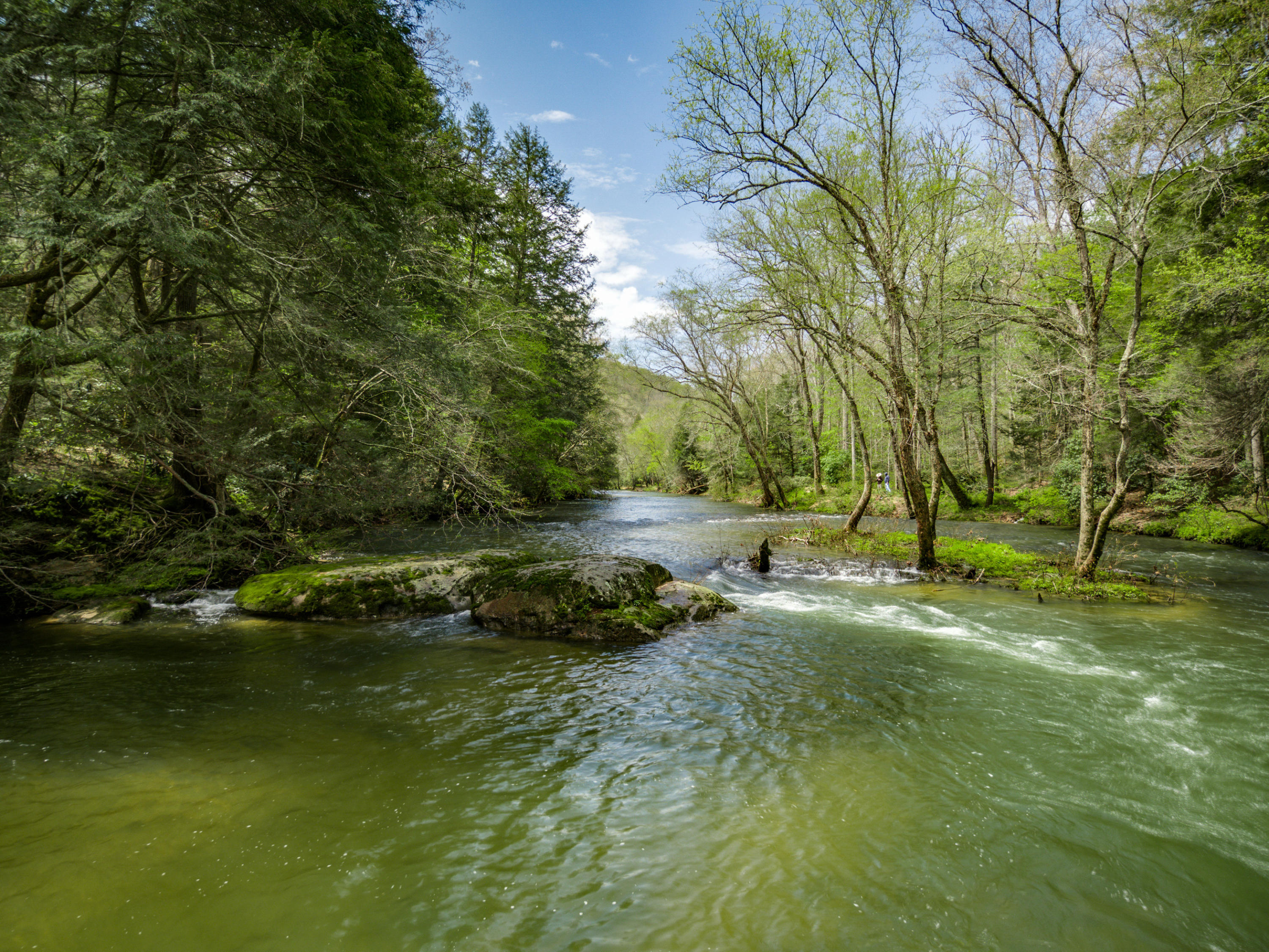 Al Goss Road Crossville, TN 38571 - Photo 6 of 28 65_MAX_0112_HDR2_mls