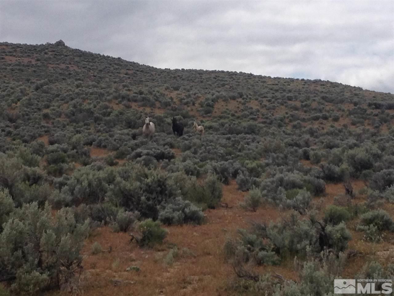 0 Belgian, Unit 12 Reno, NV 89508 - Photo 12 of 20 Photo 12