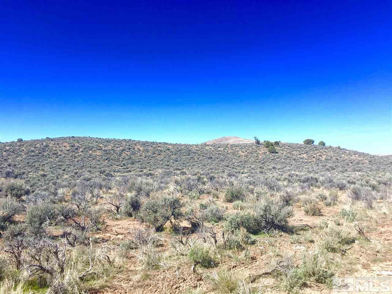 0 Belgian, Unit 12 Reno, NV 89508 - Photo 4 of 20 Photo 4