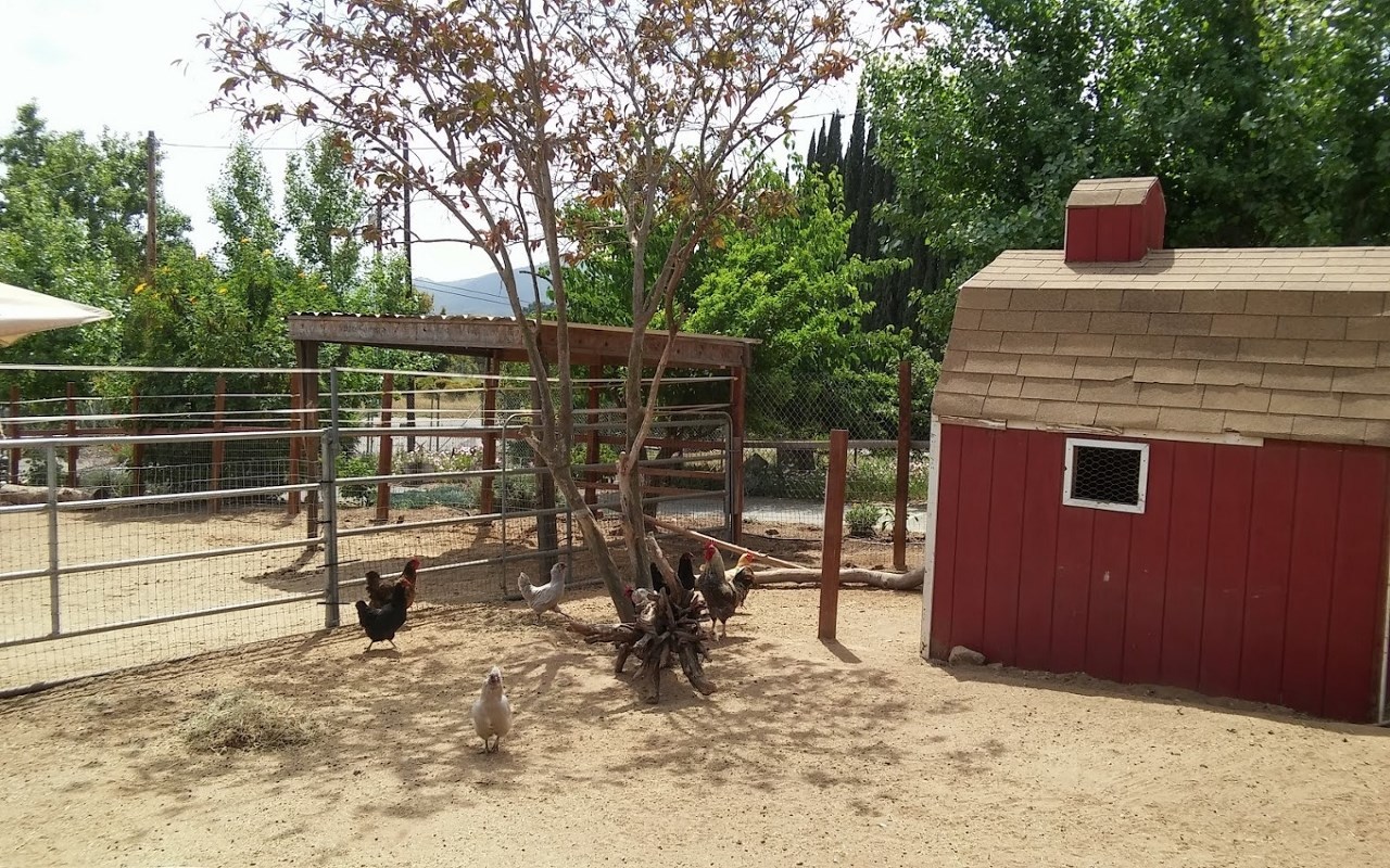 39542 Daily Fallbrook Ca Fallbrook, CA 92028 - Photo 19 of 25 Gallery Image 19
