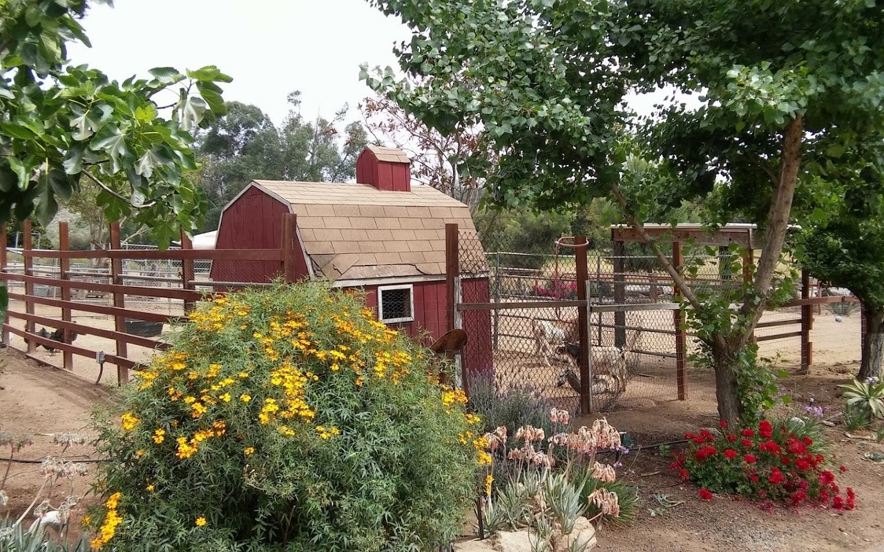 39542 Daily Fallbrook Ca Fallbrook, CA 92028 - Photo 20 of 25 Gallery Image 20