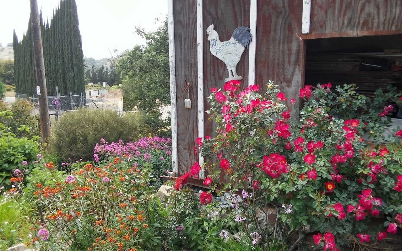 39542 Daily Fallbrook Ca Fallbrook, CA 92028 - Photo 23 of 25 Gallery Image 23