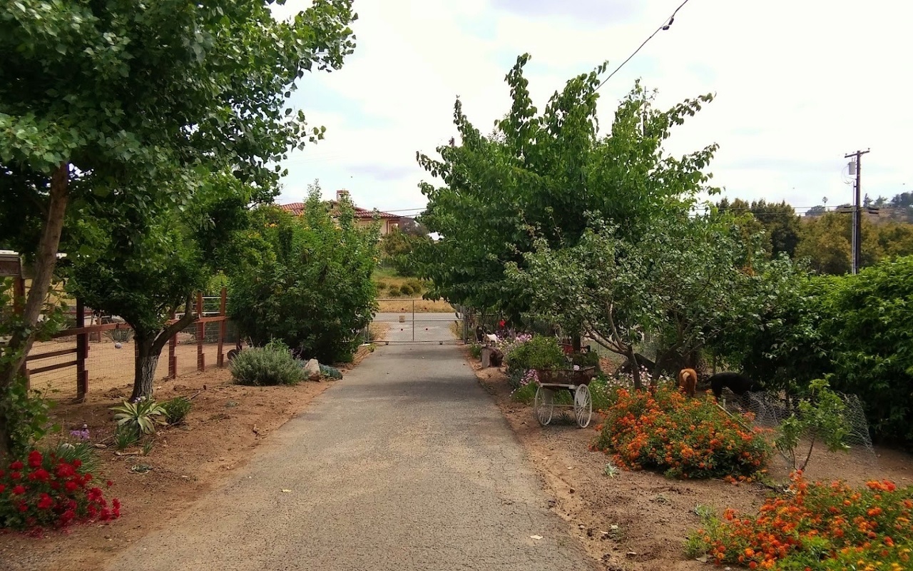 39542 Daily Fallbrook Ca Fallbrook, CA 92028 - Photo 5 of 25 Gallery Image 5