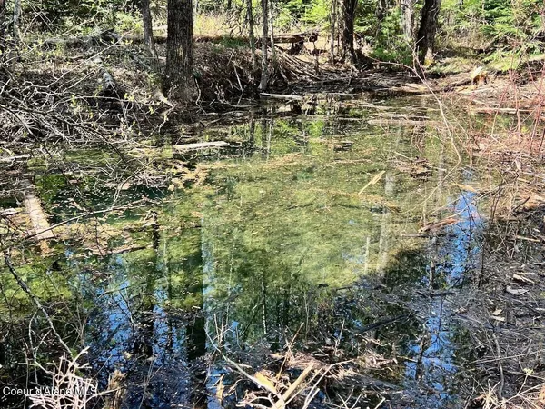 $1,795,000 | 1198 Mountain View Drive, Sandpoint, ID 83864