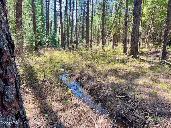 $1,795,000 | 1198 Mountain View Drive, Sandpoint, ID 83864