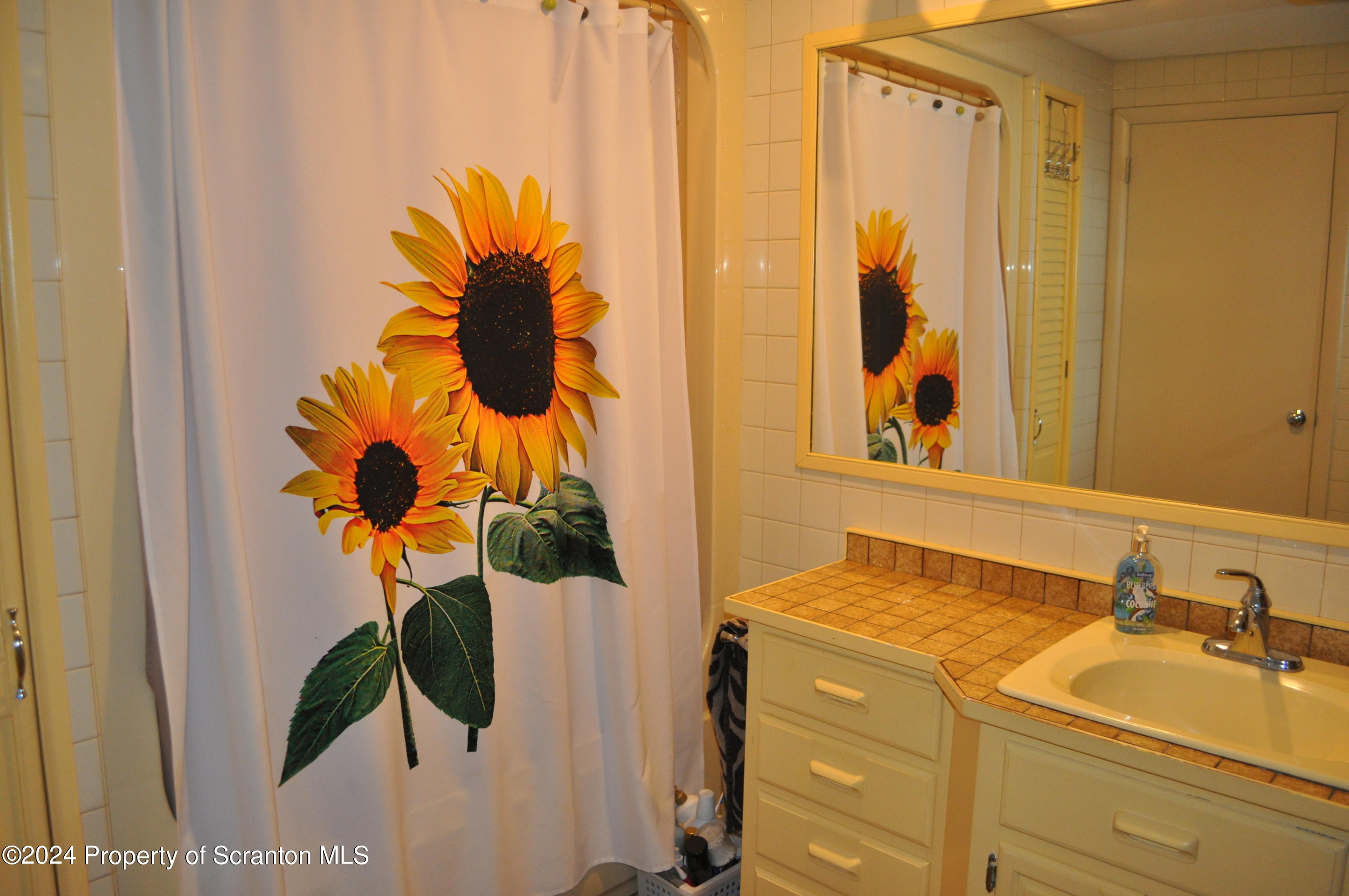 277 High Street Hop Bottom, PA 18824 - Photo 44 of 75 Bathroom