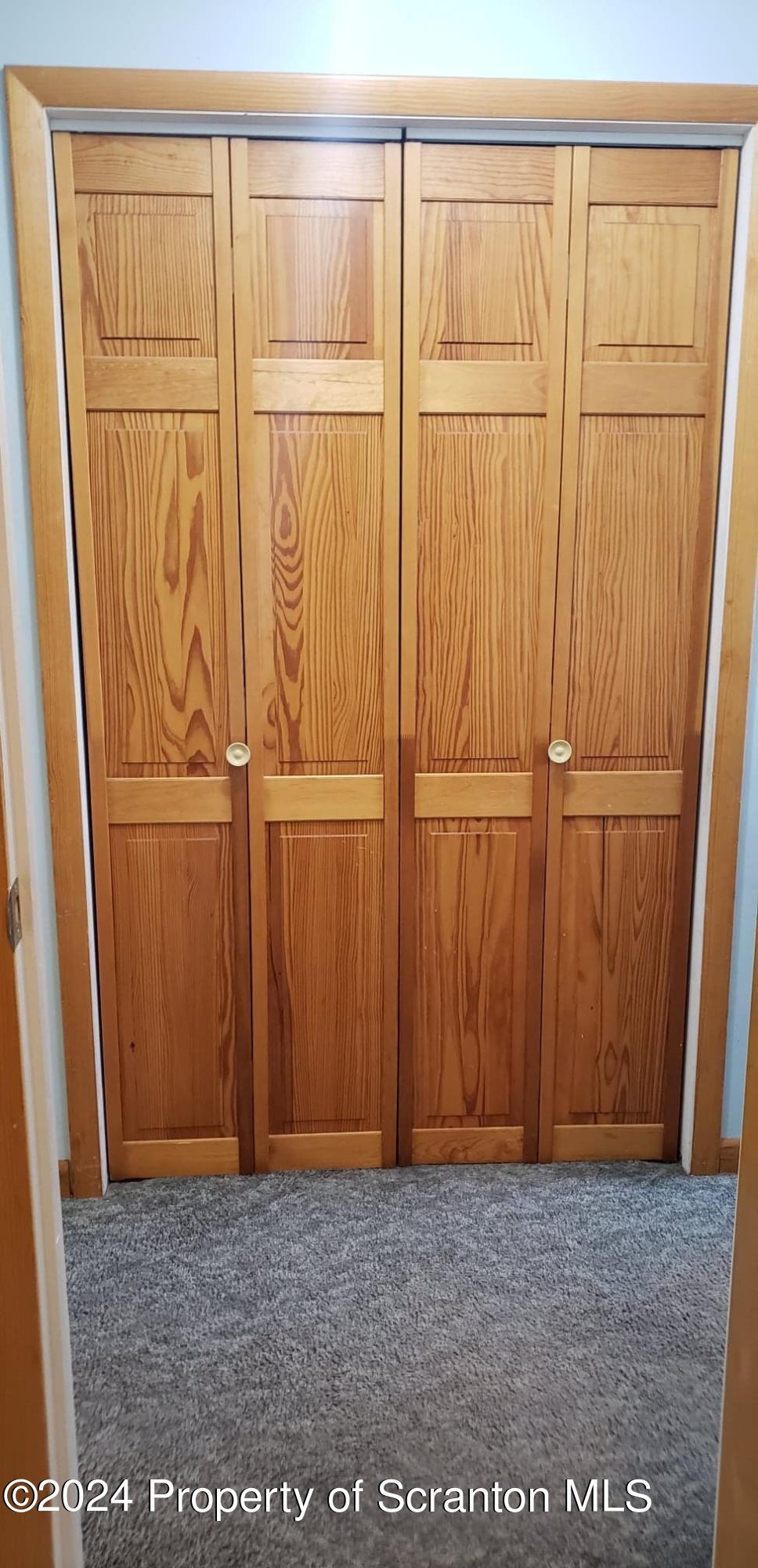 277 High Street Hop Bottom, PA 18824 - Photo 72 of 75 Closet