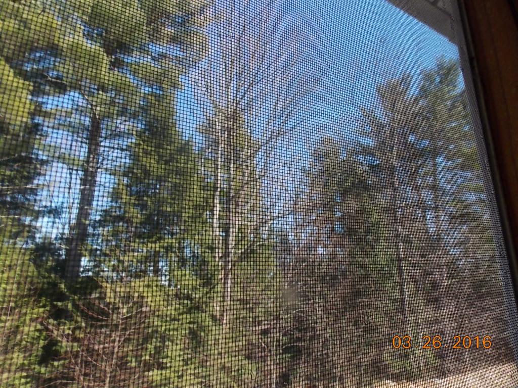 35 Collins Landing Road, Unit 23 Weare, NH 03281 - Photo 18 of 23