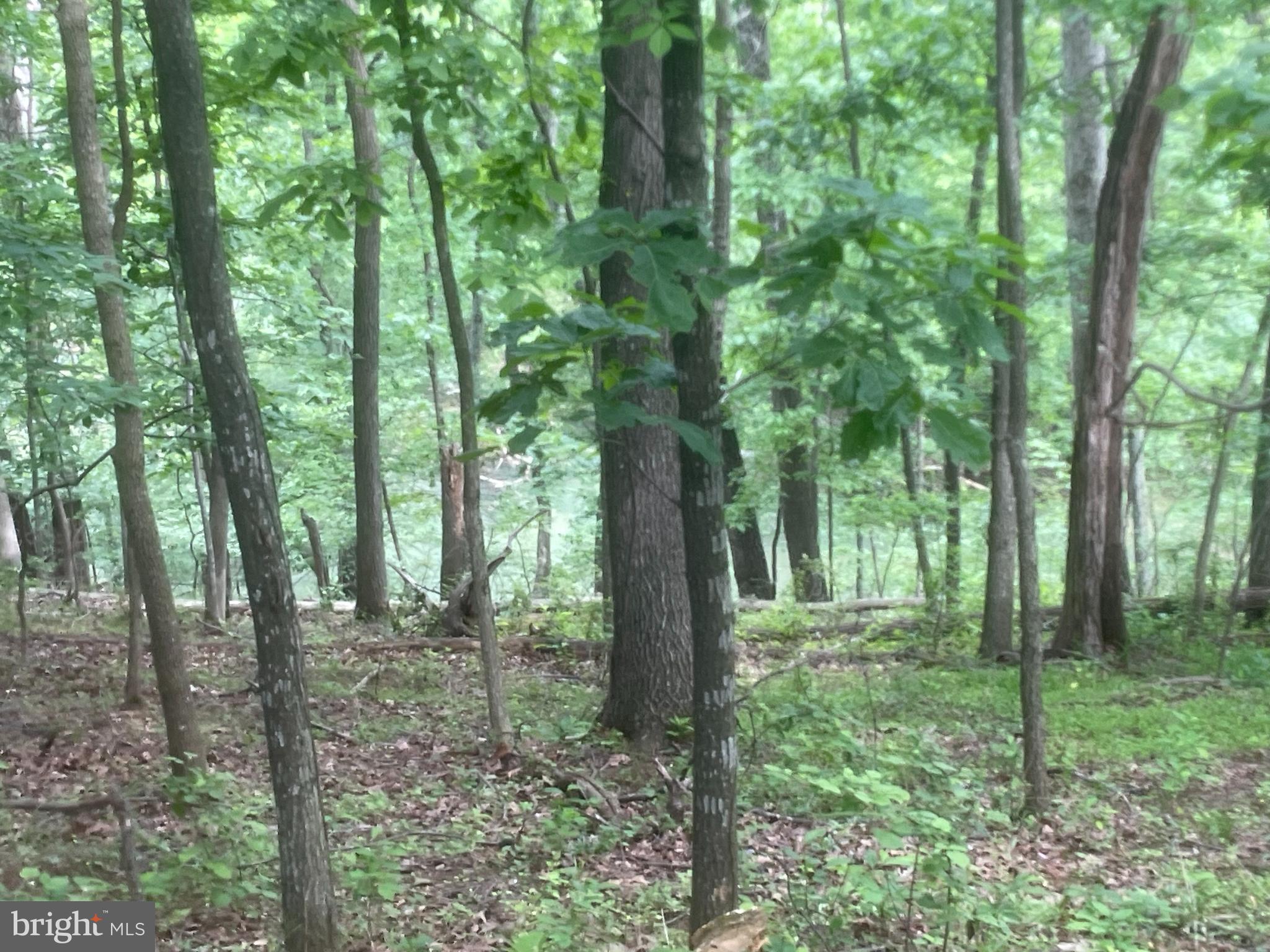 Mt Zion Road Kearneysville, WV 25430 - Photo 4 of 5 Gallery Image 4